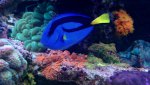 _20170129_202315.jpg _20170129_202315.jpg