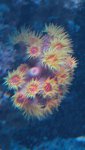 _20170201_204215.jpg _20170201_204215.jpg