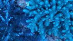 _20170204_152859.jpg _20170204_152859.jpg