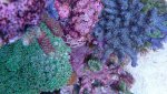 _20170204_152744.jpg _20170204_152744.jpg