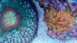 _20170204_152709.jpg _20170204_152709.jpg