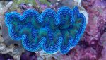_20170204_152627.jpg _20170204_152627.jpg