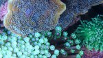 _20170204_152501.jpg _20170204_152501.jpg