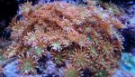 _20170204_152428.jpg _20170204_152428.jpg