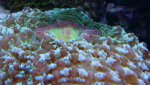 _20170204_152340.jpg _20170204_152340.jpg