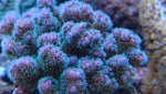 _20170204_152303.jpg _20170204_152303.jpg