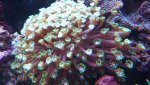 _20170204_152218.jpg _20170204_152218.jpg
