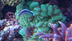_20170204_152133.jpg _20170204_152133.jpg
