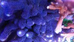 _20170204_152039.jpg _20170204_152039.jpg