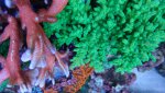 _20170204_152017.jpg _20170204_152017.jpg