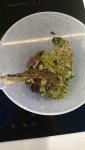 IMG-20170219-WA0001.jpg IMG-20170219-WA0001.jpg