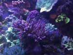 IMG_0228.jpg