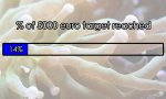 progress bar 14.jpg progress bar 14.jpg