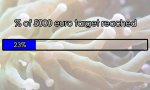 progress bar 23.jpg