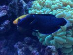 IMG_3183.jpg IMG_3183.jpg