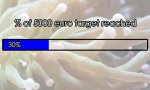progress bar 30.jpg