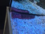 IMG_1366.jpg IMG_1366.jpg