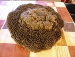 009 - kopie (8).jpg