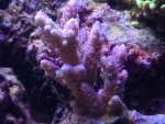 IMG_3452.jpg