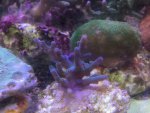 IMG_0686.jpg