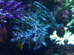 IMG_0431.jpg