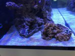 IMG_4241.jpg IMG_4241.jpg