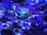 IMG_4412.jpg IMG_4412.jpg