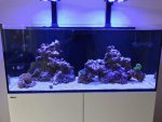 IMG_4591.jpg