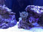 IMG_4593.jpg