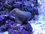 IMG_4756.jpg