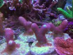 IMG_1094.jpg