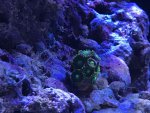 IMG_4782.jpg