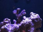 IMG_4784.jpg