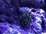 IMG_5183.jpg