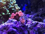 IMG_5605.jpg