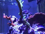 IMG_5889.jpg