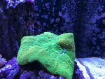 IMG_5883.jpg