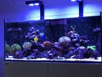 IMG_5890.jpg