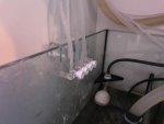 IMG_6008.jpg IMG_6008.jpg
