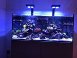 IMG_6018.jpg