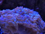 IMG_6115.jpg