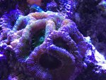 IMG_6118.jpg