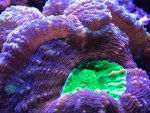 IMG_6117.jpg