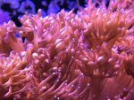 IMG_6121.jpg
