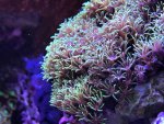 IMG_6122.jpg