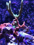 IMG_6123.jpg