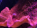IMG_6126.jpg