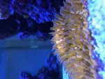 IMG_6129.jpg