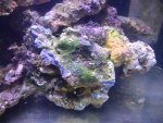 IMG_20180315_200603.jpg