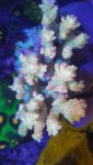 20180330_140555_resized.jpg